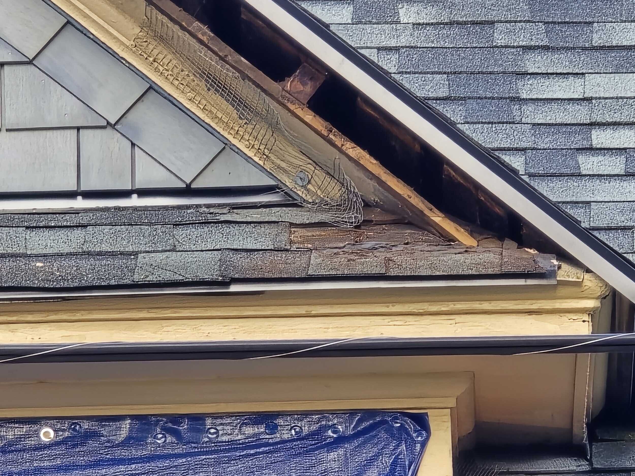 Exterior Trim Rot Repair & Replacement